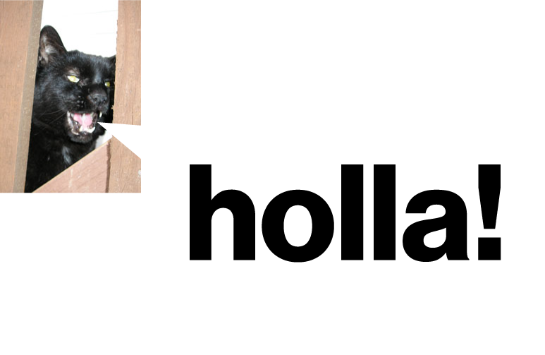 Holla Cat